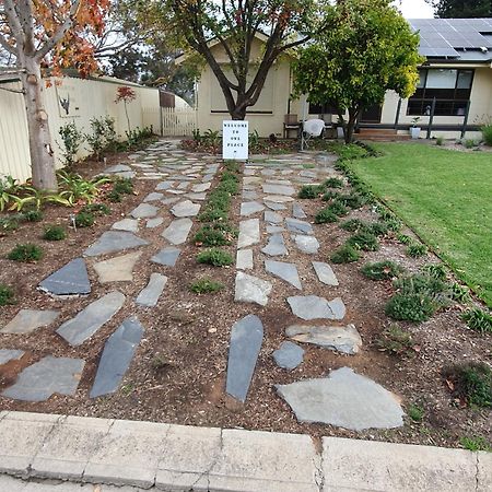 Owl Place In Hahndorf Buitenkant foto